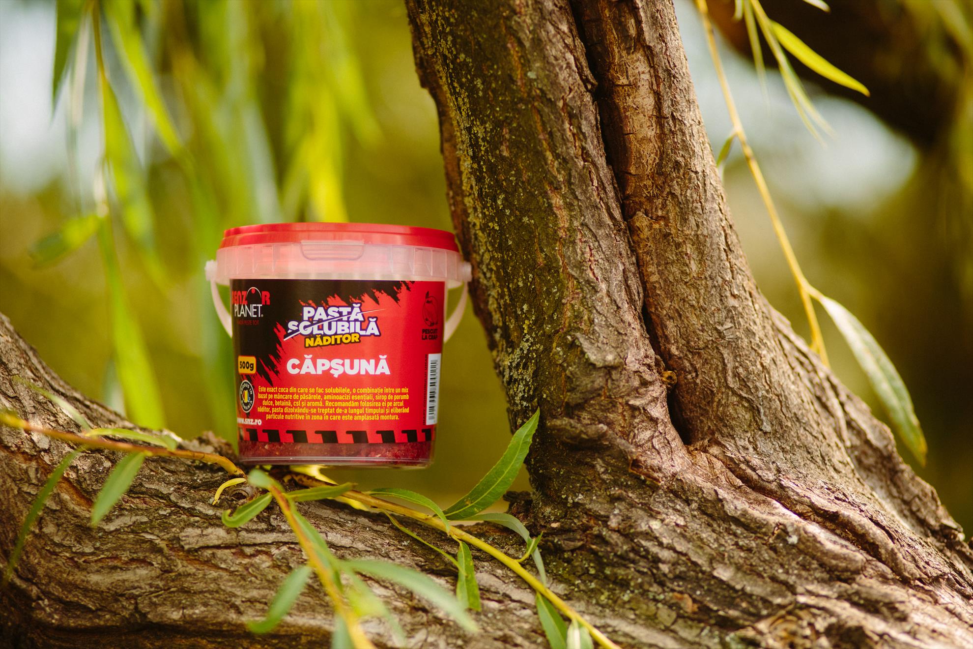 SNZ 2017 - senzor-pe-balta---045.jpg